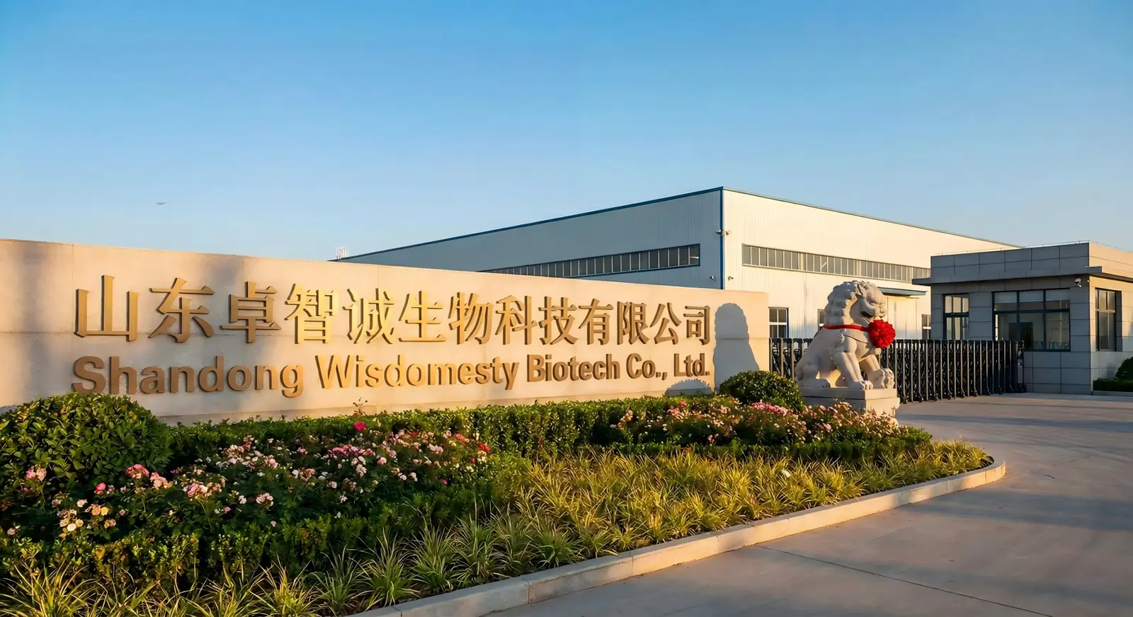 Shandong Wisdomesty Biotech Co., Ltd gluconate factory in Shanghe County, Jinan, Shandong, China